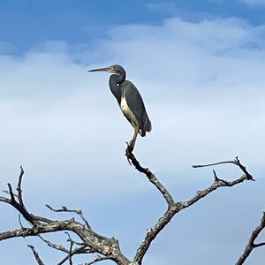 Meet your Posher, Tim